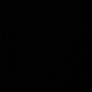 Meet your Posher, Sophia